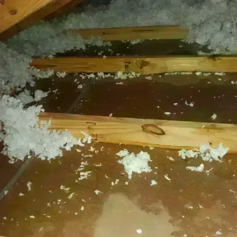 Attic Water Damage in Milam County, TX